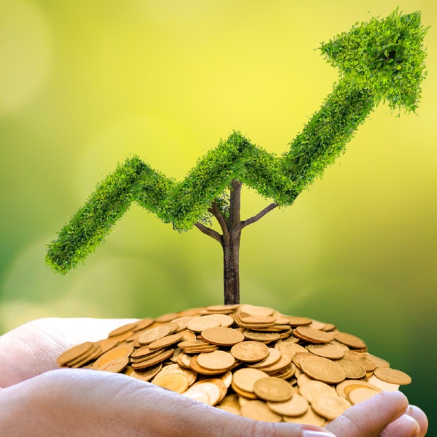 Efficienza energetica